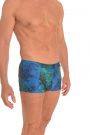 Anahata Yoga Clothing Crystal mens 60’s style trunk short