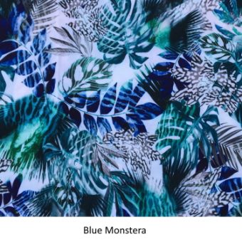Blue Monstera