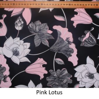 Pink Lotus