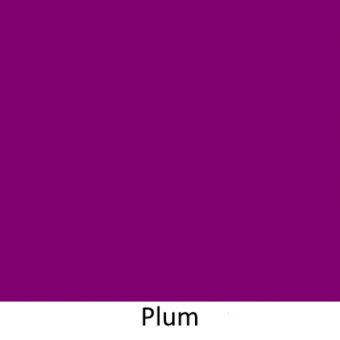 Plain Plum