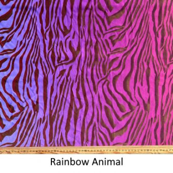 Rainbow Animal