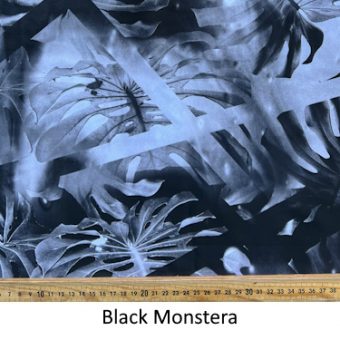 Black Monstera